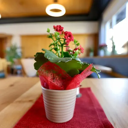 Hotel Kaisers Kleine Stadthotel